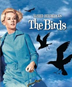 4K UHD 群鳥/鳥 (1963) 希區柯克  