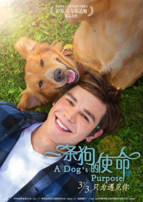 BD50 為了與你相遇(臺)/一條狗的使命 A Dog’s Purpose （2017） 帶國配 美國感人動物題材大片 