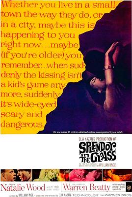 BD50-2D 天涯何處覓知音/壯美的草原 Splendor in the Grass (1961)