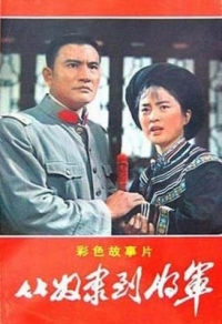 從奴隸到將軍‎ (1979) 上下集 2碟 4K高清修復版