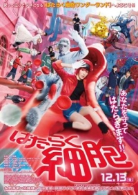 工作細胞/工作細胞(真人版) (2024) 日本 正式版 帶國語