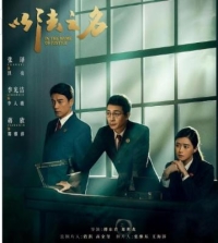 以法之名‎ (2025) 2碟