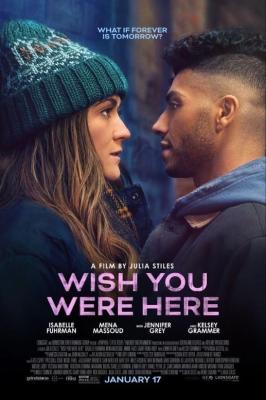 願你在此 Wish You Were Here (2025) 高清版