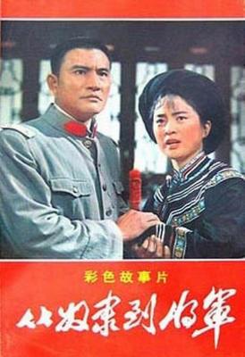 從奴隸到將軍 (1979) 上下集 2碟 4K高清修復版