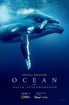 與大衛·艾登堡遨遊深海(臺)/大衛·愛登堡:海洋 Ocean with David Attenborough (2025)