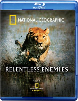 國家地理:冷酷宿敵 Relentless Enemies (2006)