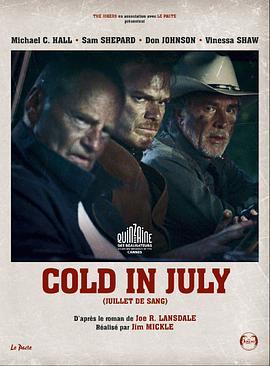 BD50-2D 七月寒潮/七月流火 Cold in July‎ (2014)