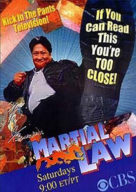 過江龍/警界威龍 第一季 Martial Law Season 1 (1998) 2碟 高畫質版