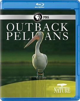 內地鵜鶘 Nature: Outback Pelicans (2011)